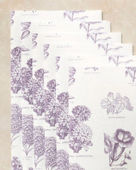 Flower Glossary