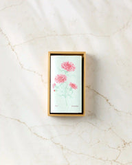 January Carnation