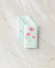 January Carnation