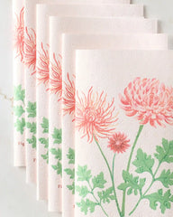 November Chrysanthemum
