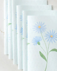 September Aster