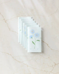 September Aster
