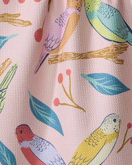Berries and Budgies