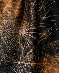 Champagne Sparkler