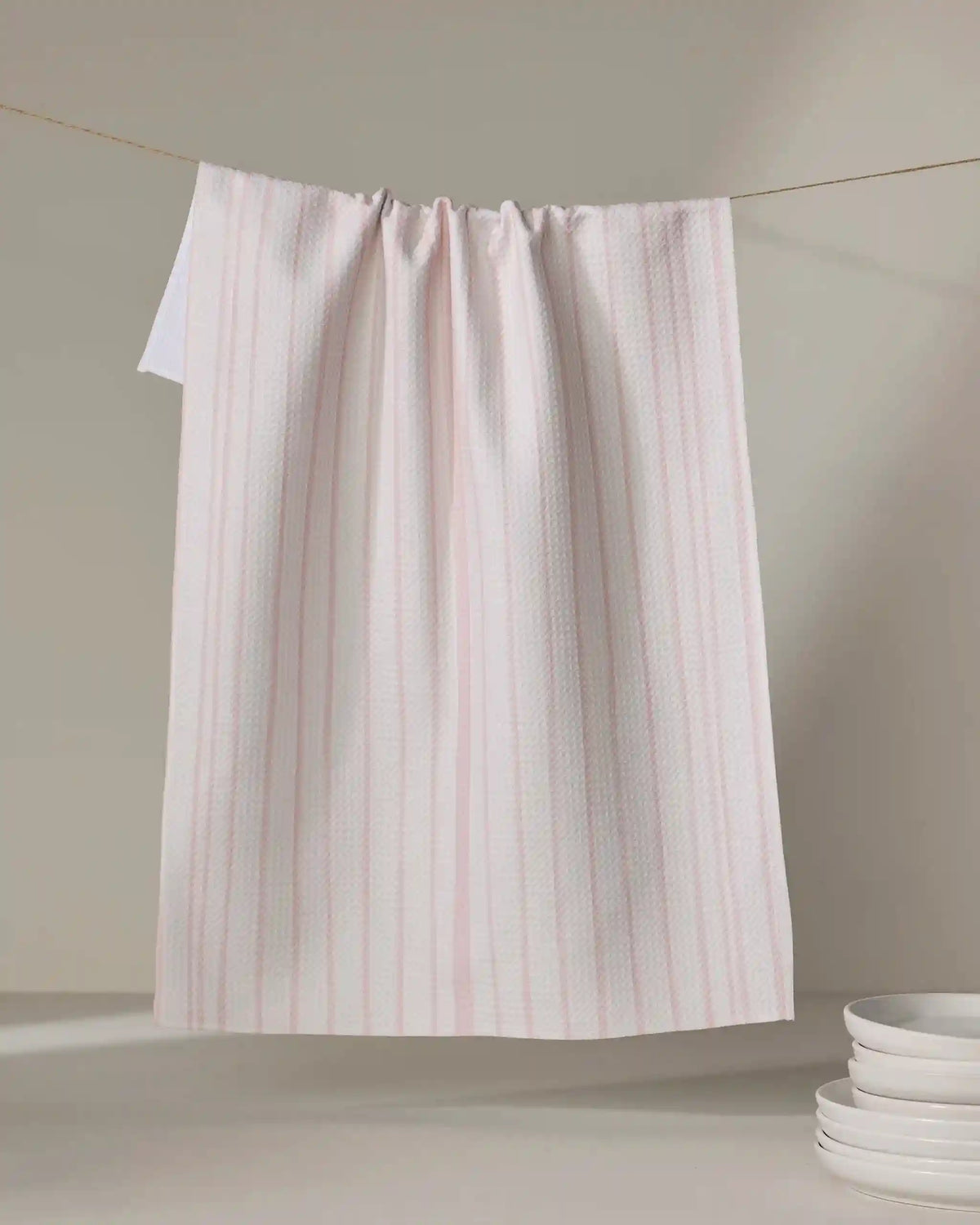 Charlotte Stripe