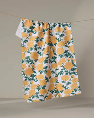 Chrysanthemum
