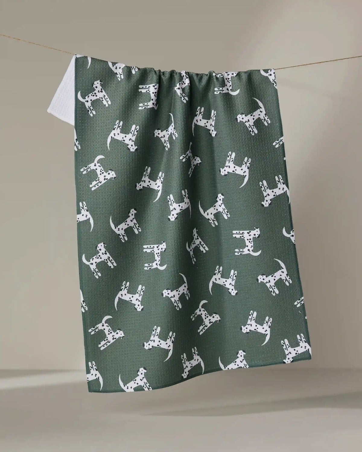 Dalmation Dogs