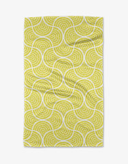 Ferns