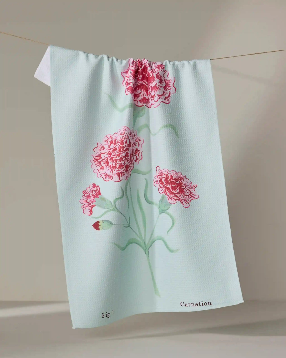 January Carnation