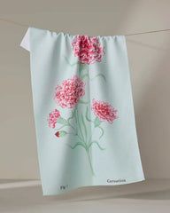 January Carnation