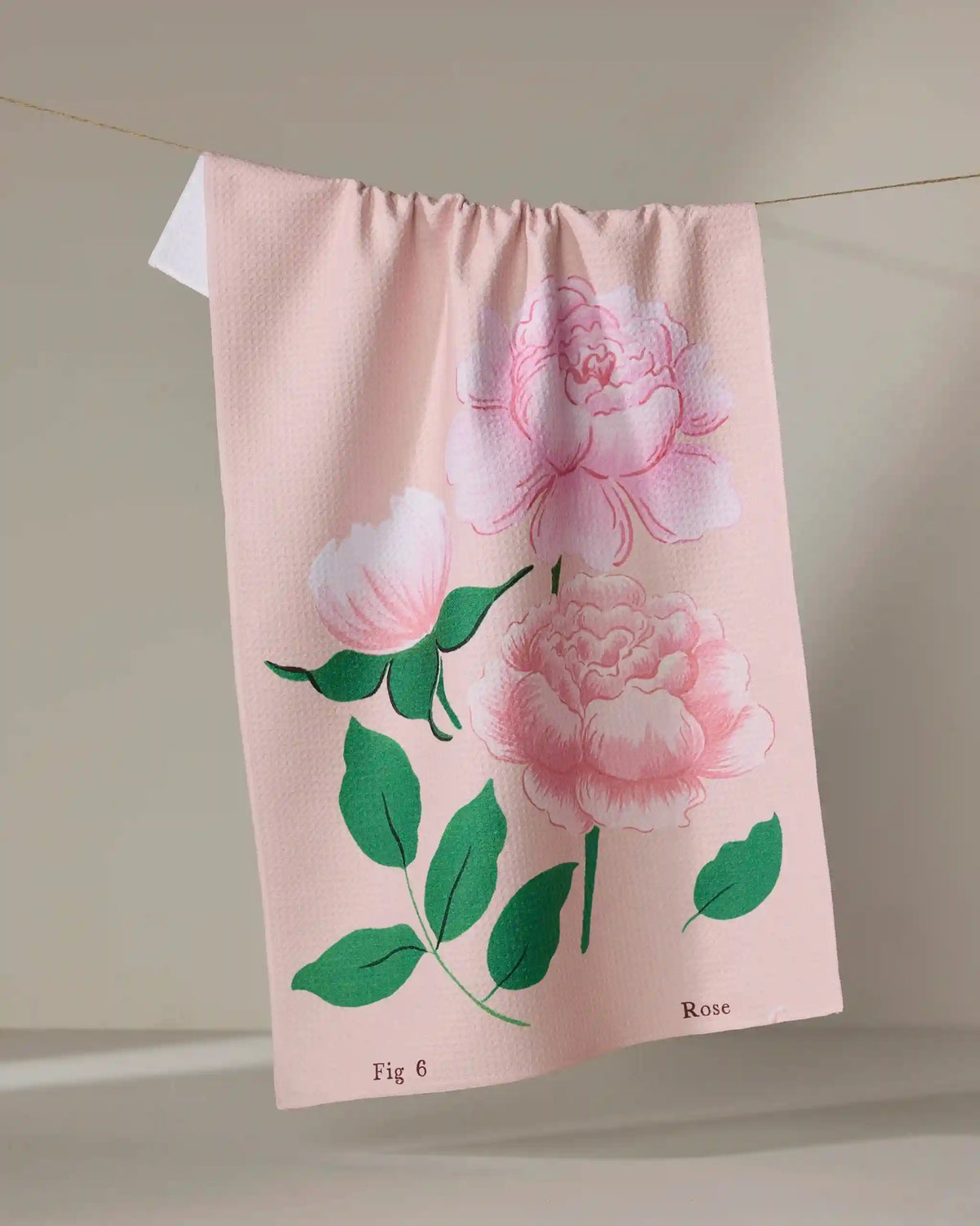 June Roses
