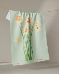March Daffodils