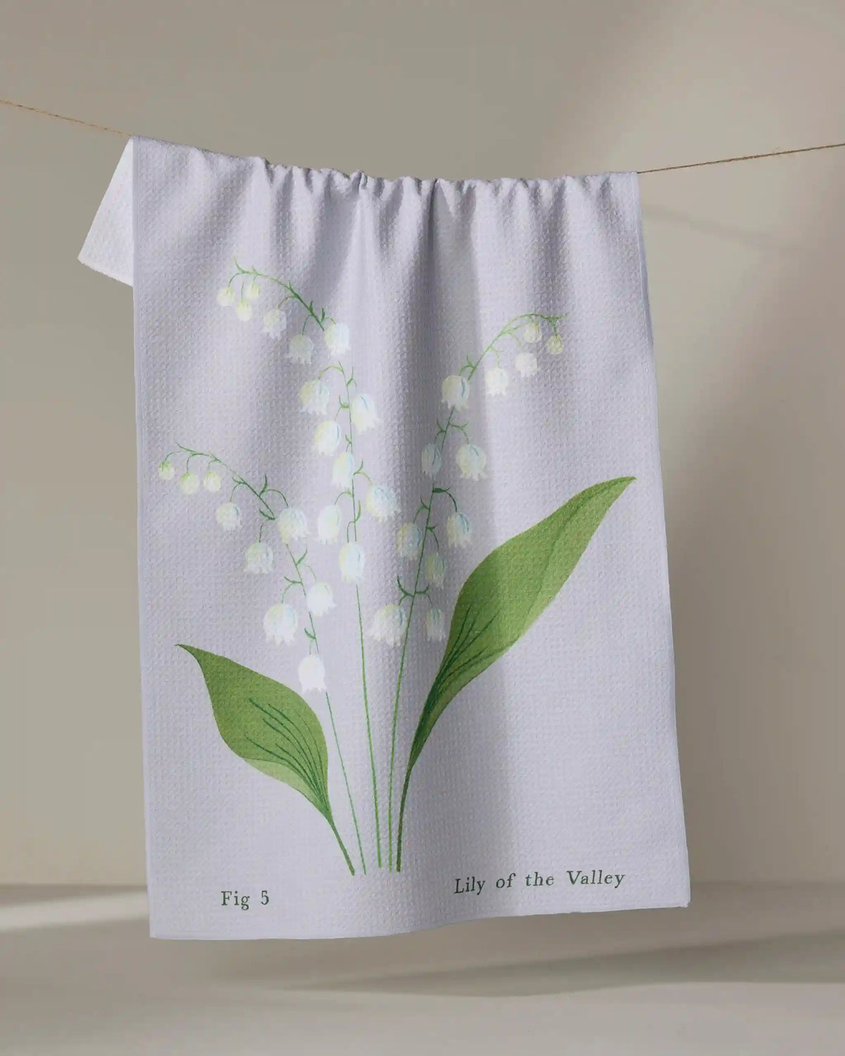 May Lilly Of The Valley