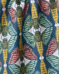Moths