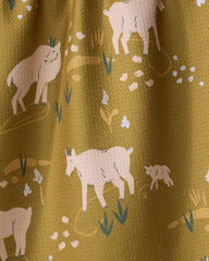Mountain Goats