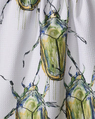 Olive Beetles