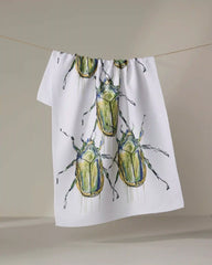Olive Beetles