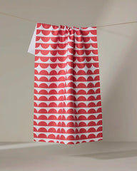 Scallops - Red