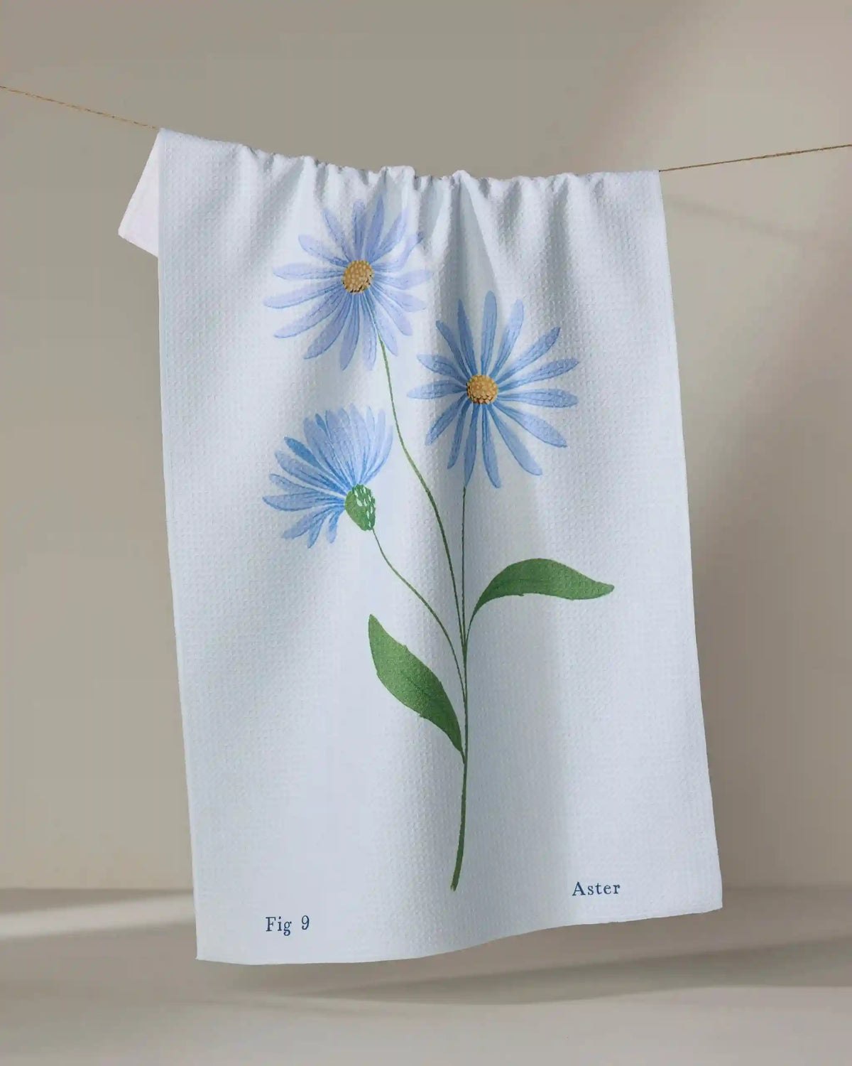 September Aster