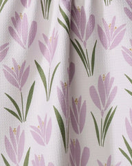 Tulip Bulbs