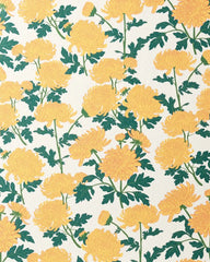 Chrysanthemum