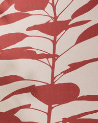 Smoketree