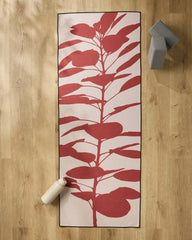 Smoketree